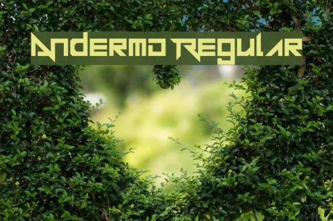 Andermo Regular Example 1