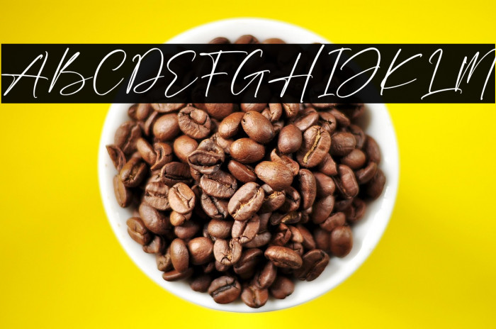 Andershon Magnolia Example 1