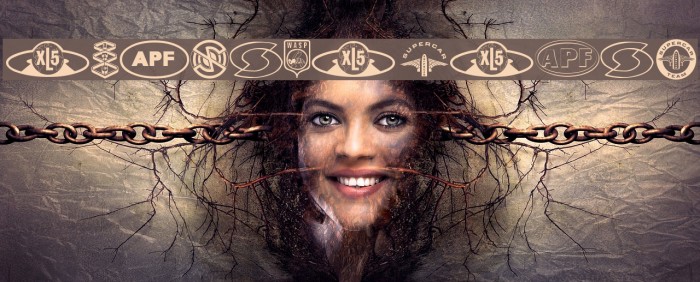 Anderson Dings 1 Example 1