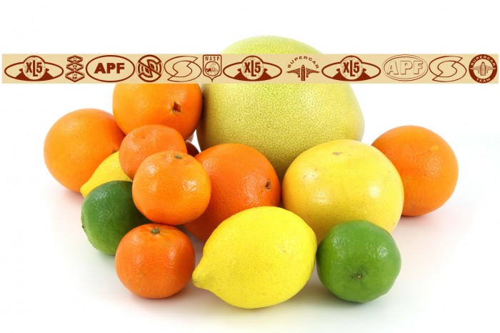 Anderson Dings 1 Example 2