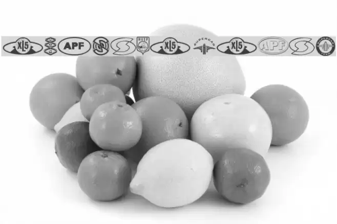 Anderson Dings 1 Font examples