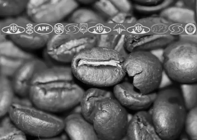 Anderson Dings 1 Font examples