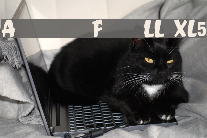 Anderson Fireball XL5 Example 3