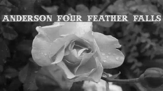 Anderson Four Feather Falls Schriftart examples