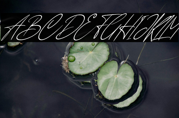 Anderson Signature Italic Example 1