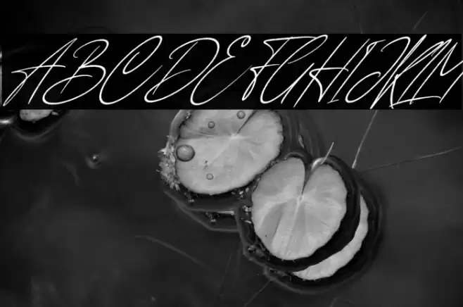 Anderson Signature Italic Font examples