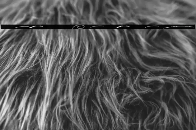 Anderson Signature Swash Font examples