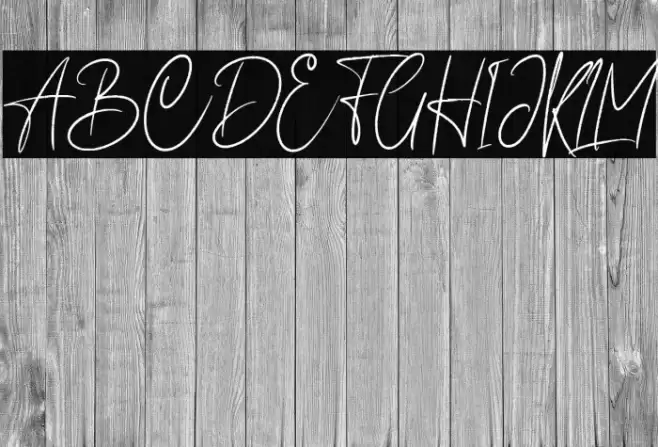 Anderson Signature Font examples