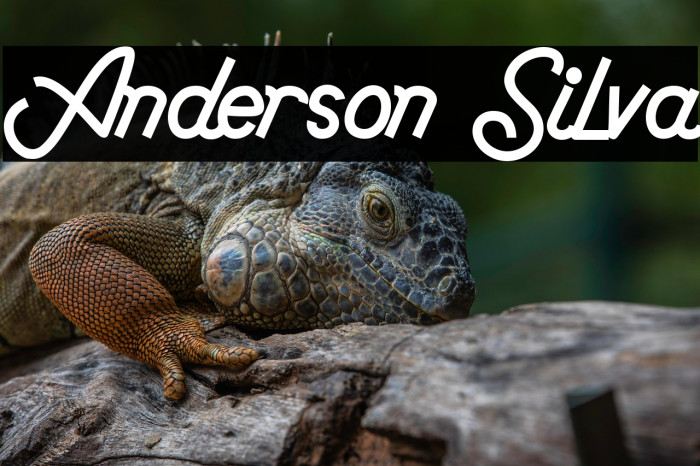 Anderson Silva Example 1