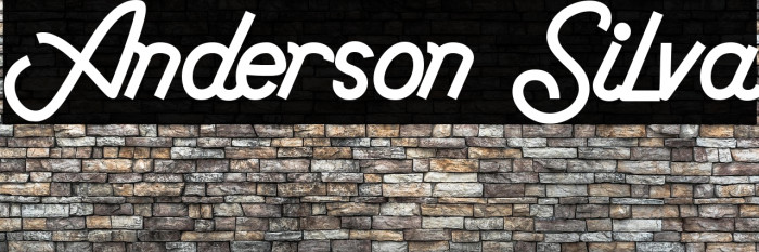 Anderson Silva Example 2