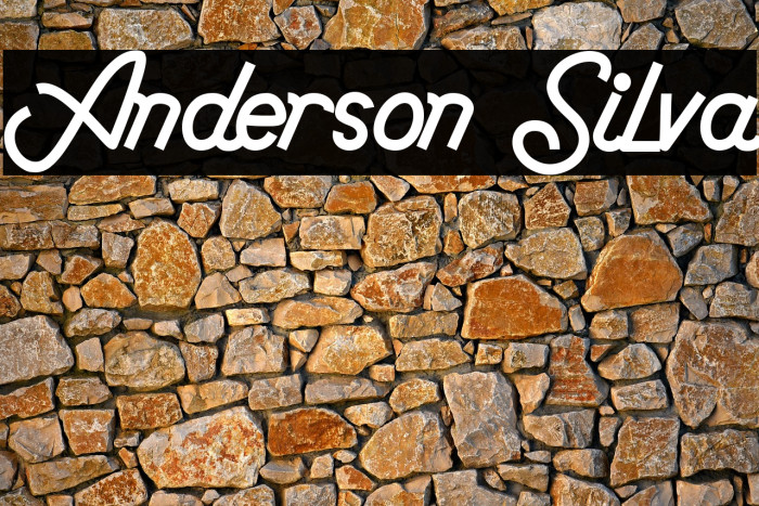 Anderson Silva Example 3