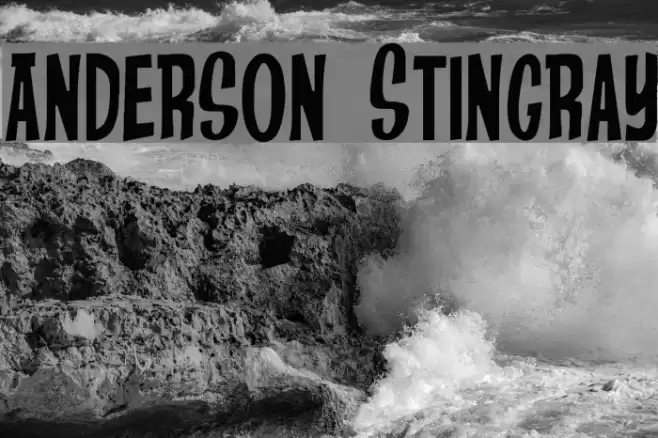 Anderson Stingray Шрифта examples