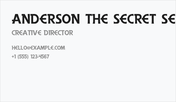 Anderson The Secret Service Business Card