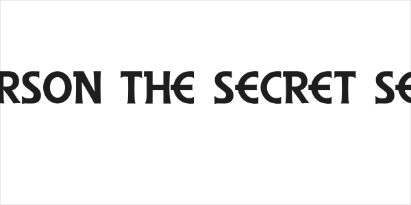 Anderson The Secret Service Logo