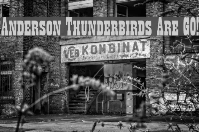Anderson Thunderbirds Are GO! خط examples