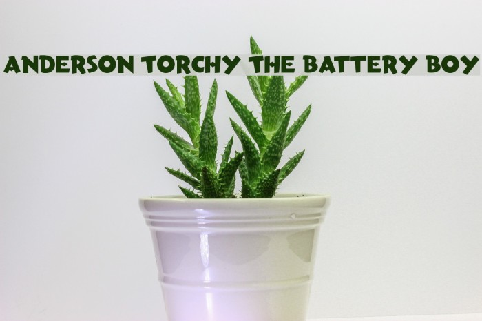 Anderson Torchy The Battery Boy Font examples
