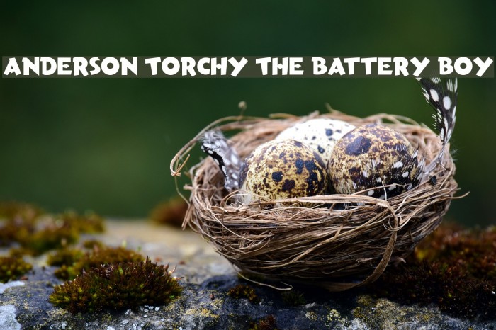 Anderson Torchy The Battery Boy Font examples
