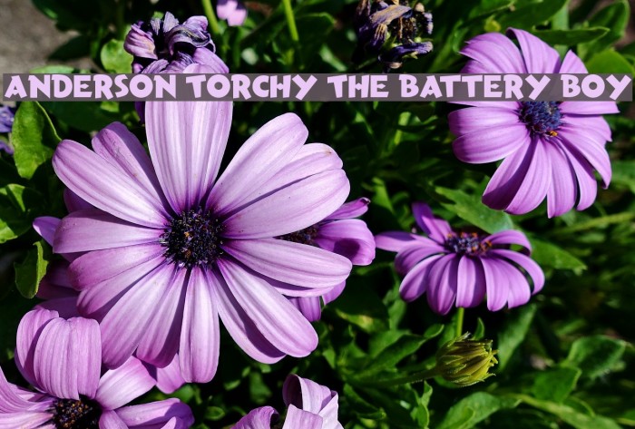 Anderson Torchy The Battery Boy Font examples