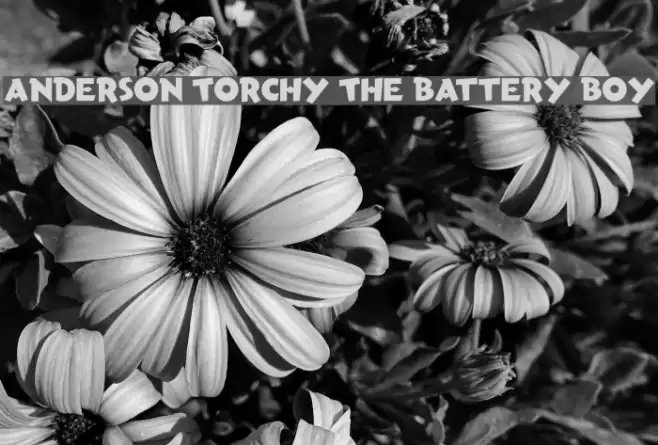 Anderson Torchy The Battery Boy フォント examples