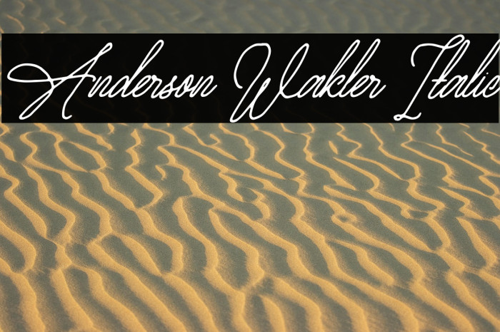 Anderson Wakler Italic Example 1