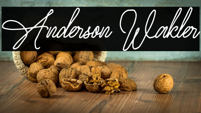 Anderson Wakler Example 2