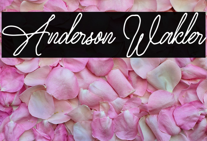 Anderson Wakler Example 3