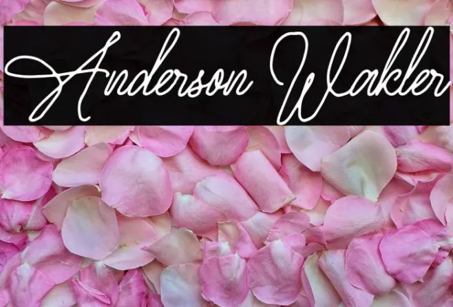 Anderson Wakler Example 3