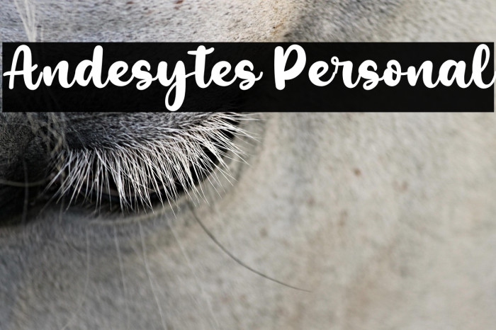 Andesytes Personal Example 1