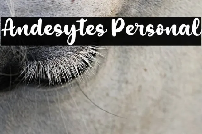 Andesytes Personal Example 1