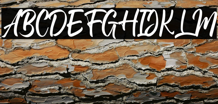 Andhibath Demo Example 1