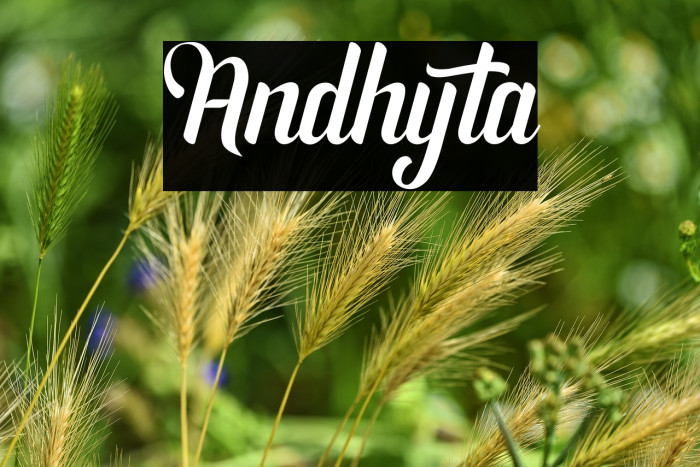 Andhyta Example 1