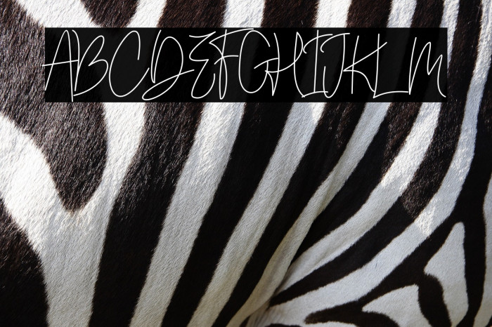 Andi Signature Example 1