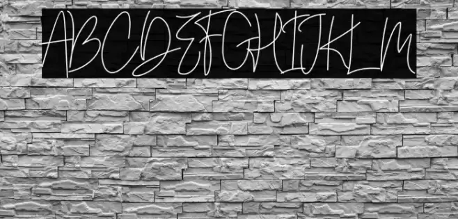 Andi Signature Font examples