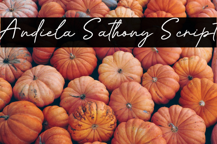 Andiela Sathony Script フォント examples