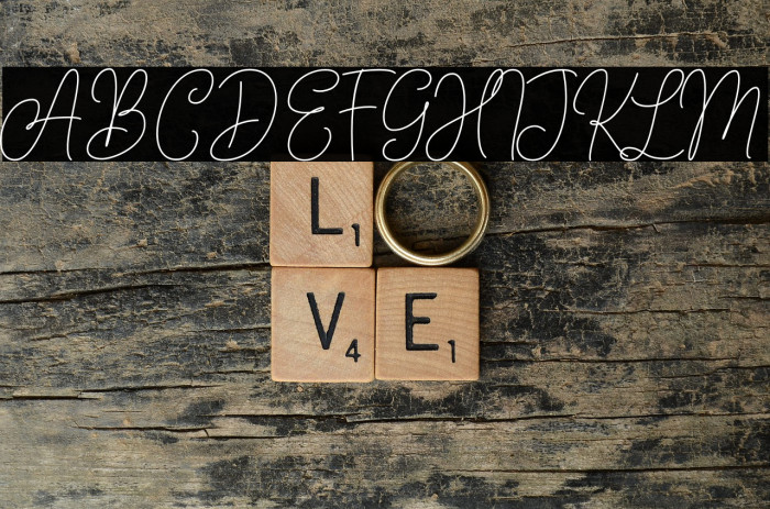 AndienNidyaDemo-Script Font examples