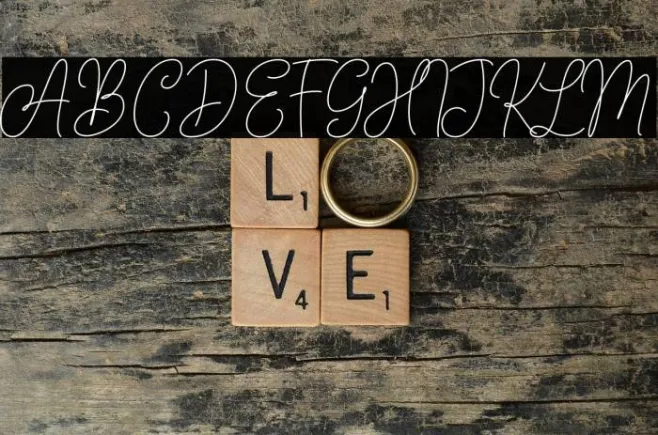 AndienNidyaDemo-Script Example 1