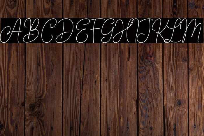 AndienNidyaDemo-Script Font examples