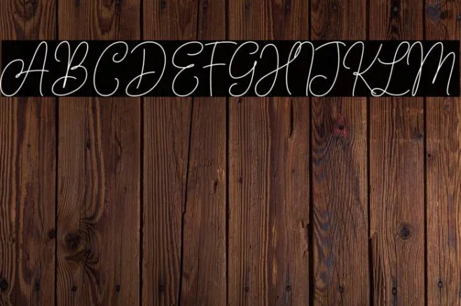 AndienNidyaDemo-Script Example 2