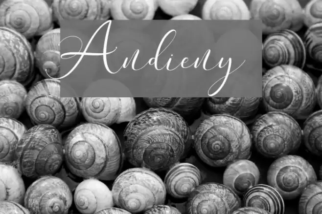 Andieny Font examples