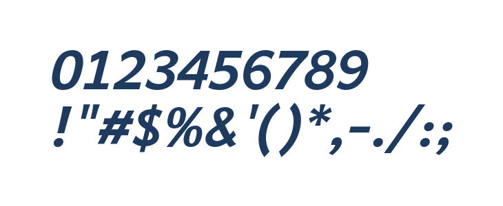 Andika Bold Italic Other Characters