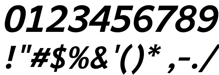 Andika New Basic Bold Italic Font OTHER CHARS