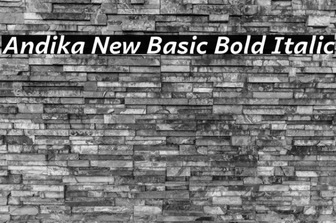 Andika New Basic Bold Italic Caratteri examples