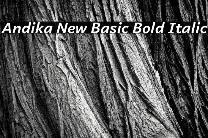 Andika New Basic Bold Italic Example 2