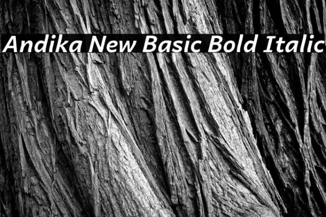 Andika New Basic Bold Italic Caratteri examples