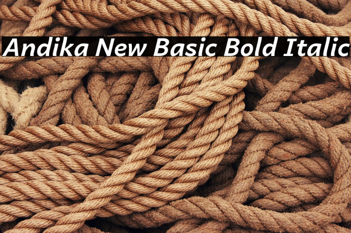 Andika New Basic Bold Italic Example 3