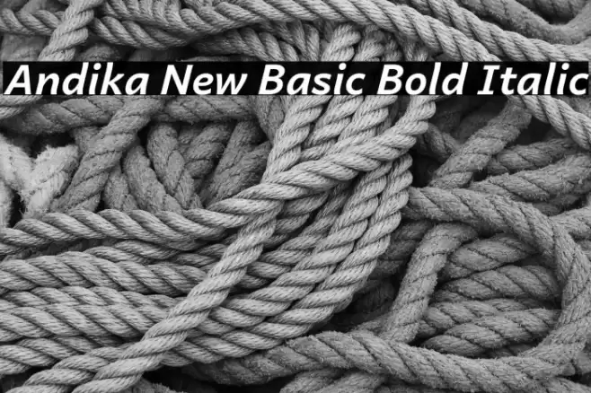 Andika New Basic Bold Italic Caratteri examples