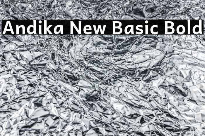Andika New Basic Bold Example 1