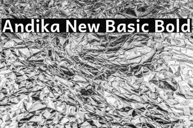 Andika New Basic Bold Caratteri examples