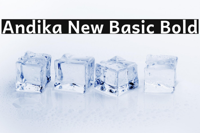 Andika New Basic Bold Example 2