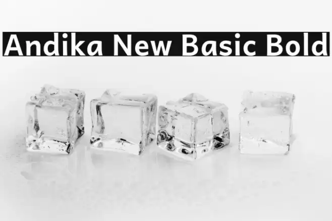 Andika New Basic Bold Caratteri examples
